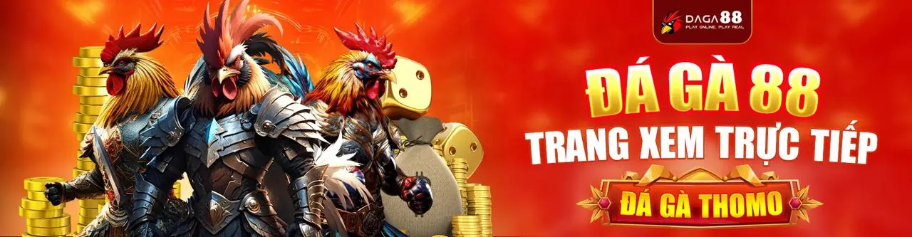 Tổng quan nền tảng 911win