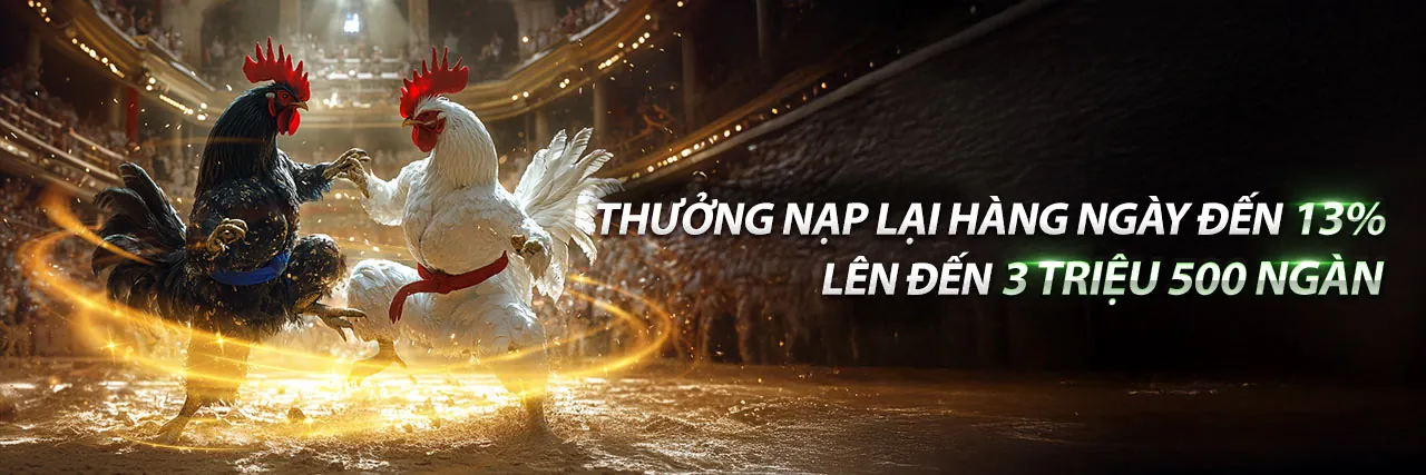 Đá gà trực tuyến 911win trường gà Campuchia live