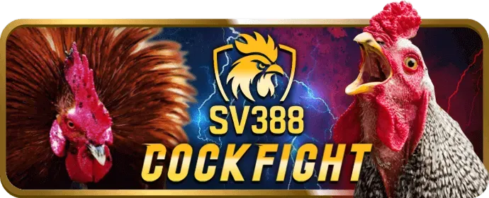 Hướng dẫn chơi game bài trực tuyến tại 911win